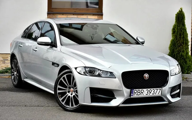 jaguar ustroń Jaguar XF cena 88900 przebieg: 146912, rok produkcji 2017 z Ustroń